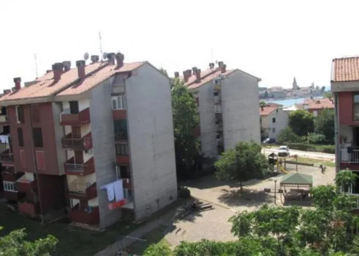 Sunny Attic * 波雷奇