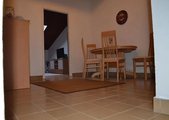 Sunny Attic * 波雷奇