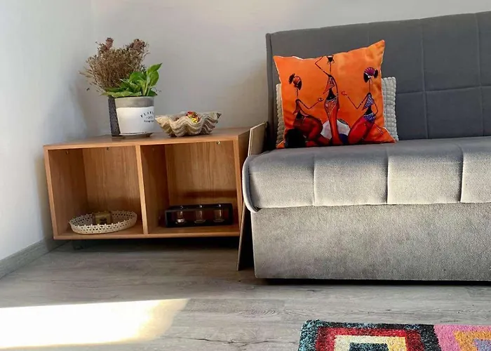 Sunny Attic * 波雷奇