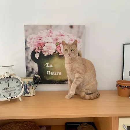 Apartment Sunny Attic