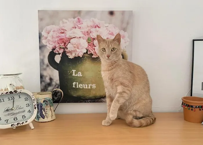 Apartamento Sunny Attic