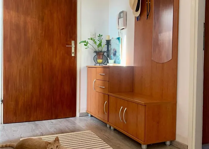 Sunny Attic Daire Poreč